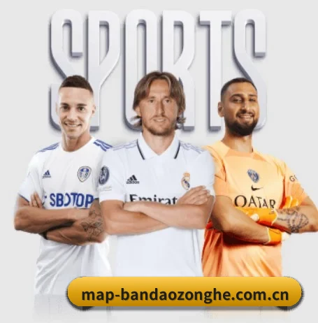 半岛综合 APP 界面